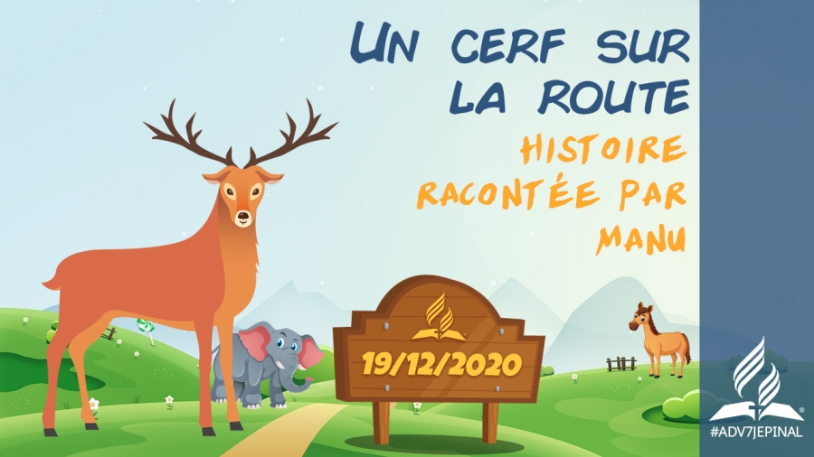 [Histoire] - « Un cerf sur la route »